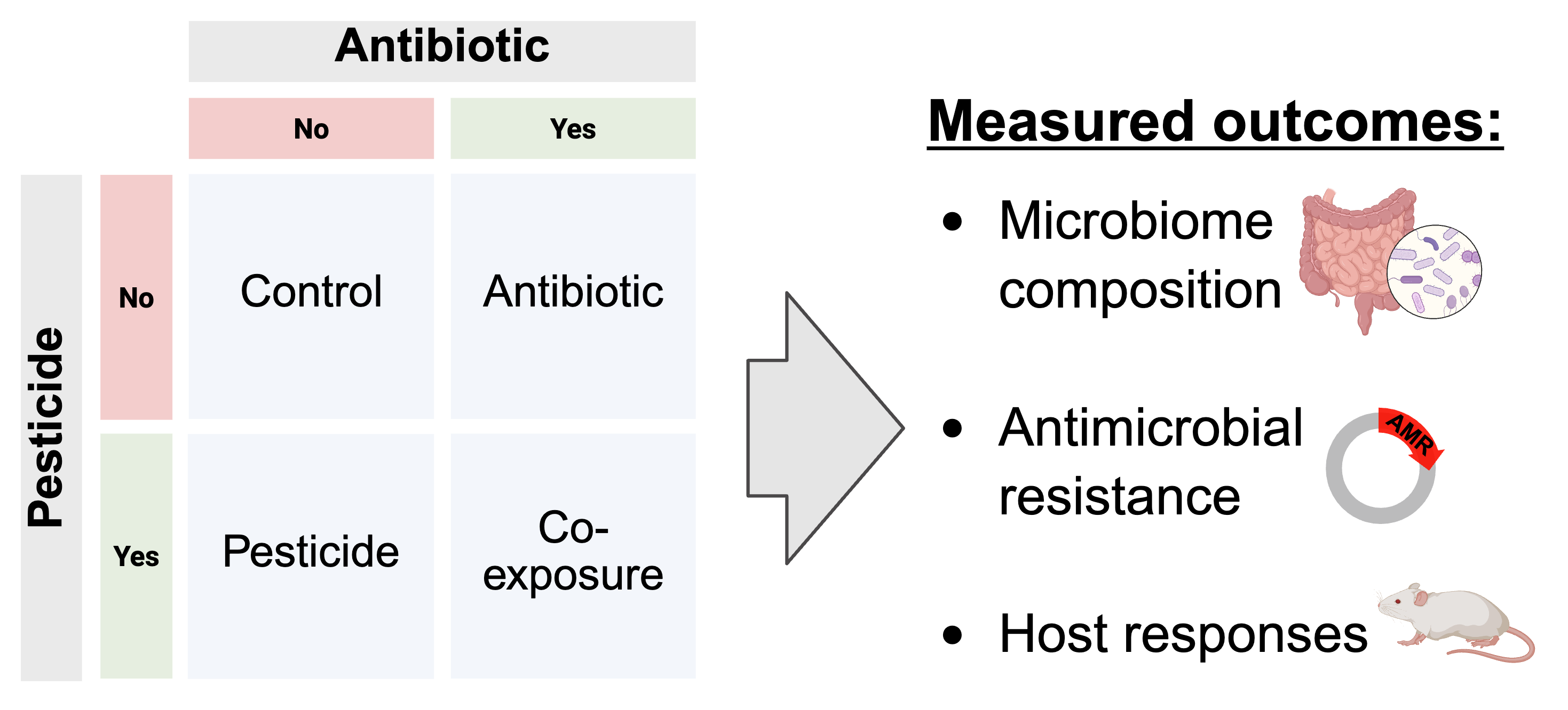 Factorial experimental design crossing antibiotic and pesticide treatments, with measured outcomes including microbiome composition, antimicrobial resistance, and host responses
