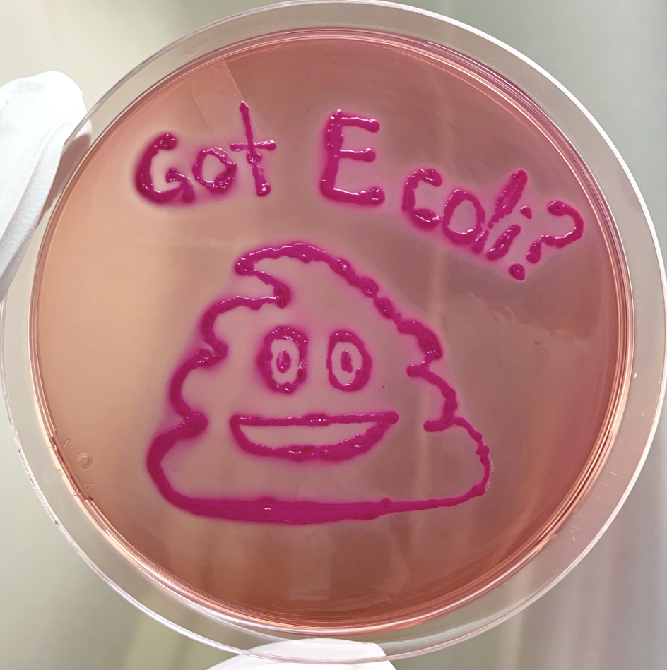 Poop emoji drawn from E. coli