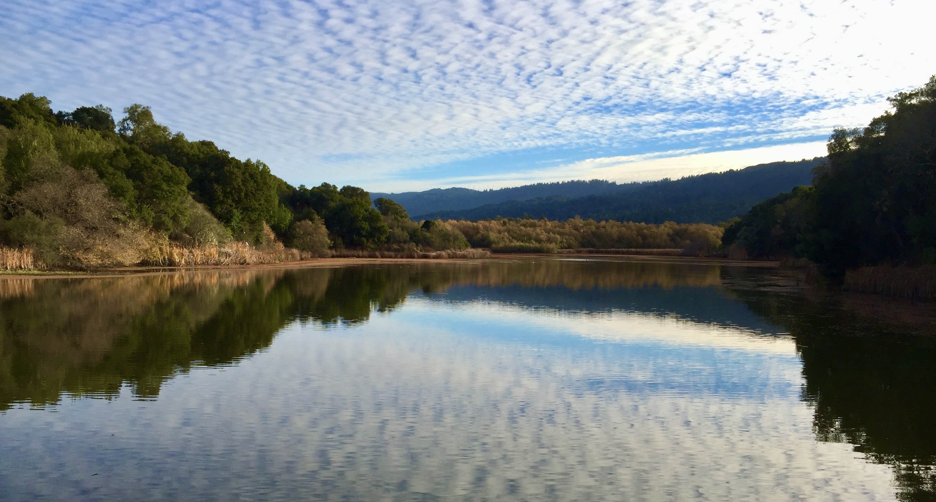 Searsville Lake viewed from Searsville Dam at Jasper Ridge Biological Preserve