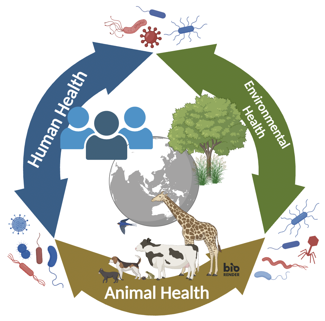 One Health microbial transmission