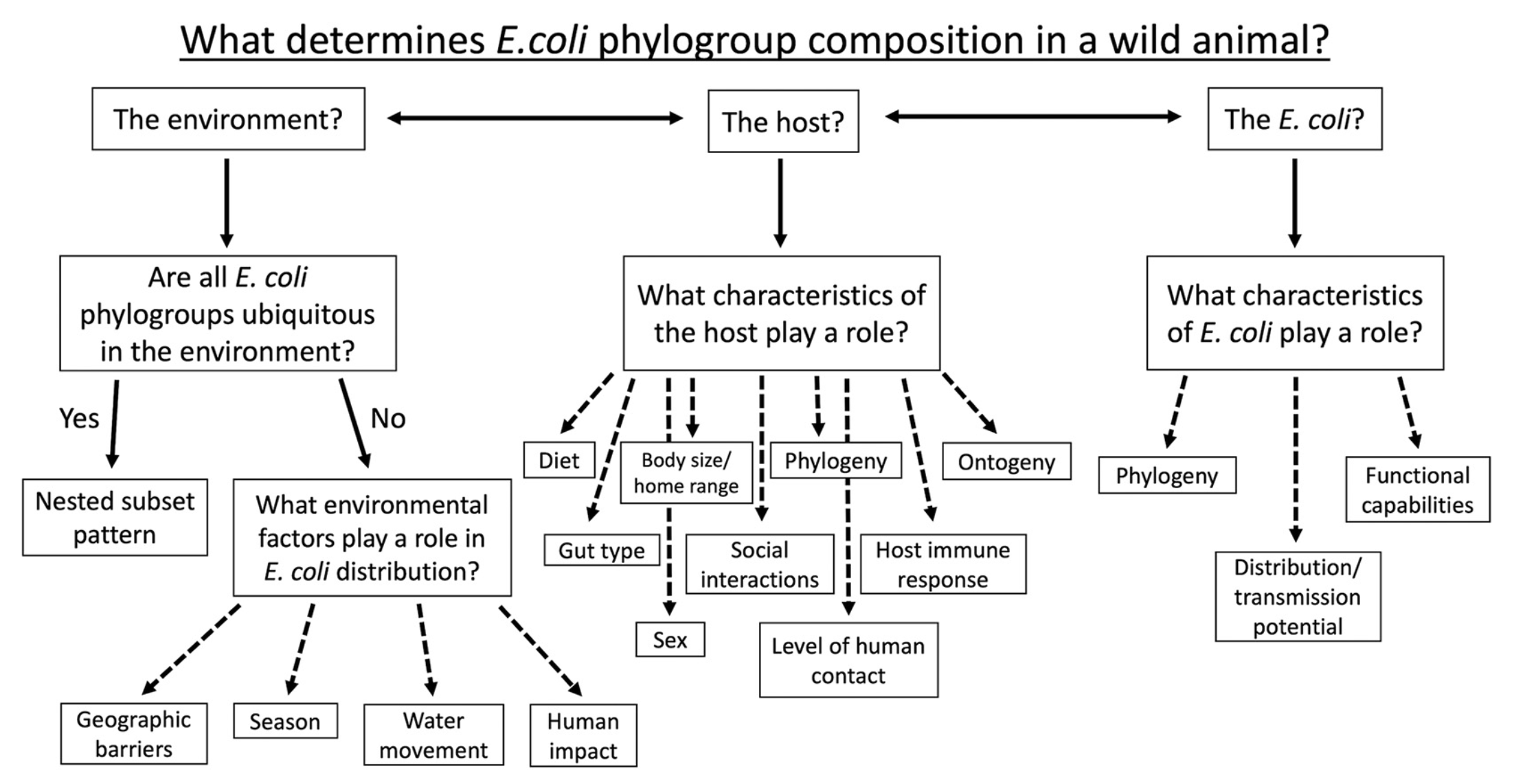 flow chart